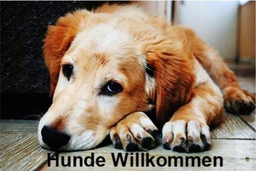 Altstadt- Und Businesshotel Pfaubraeu - Brauereigasthof - Fruehstuecksbuffet - Kostenfreie Radgarage - Hunde Willkommen Trostberg an der Alz Exterior photo